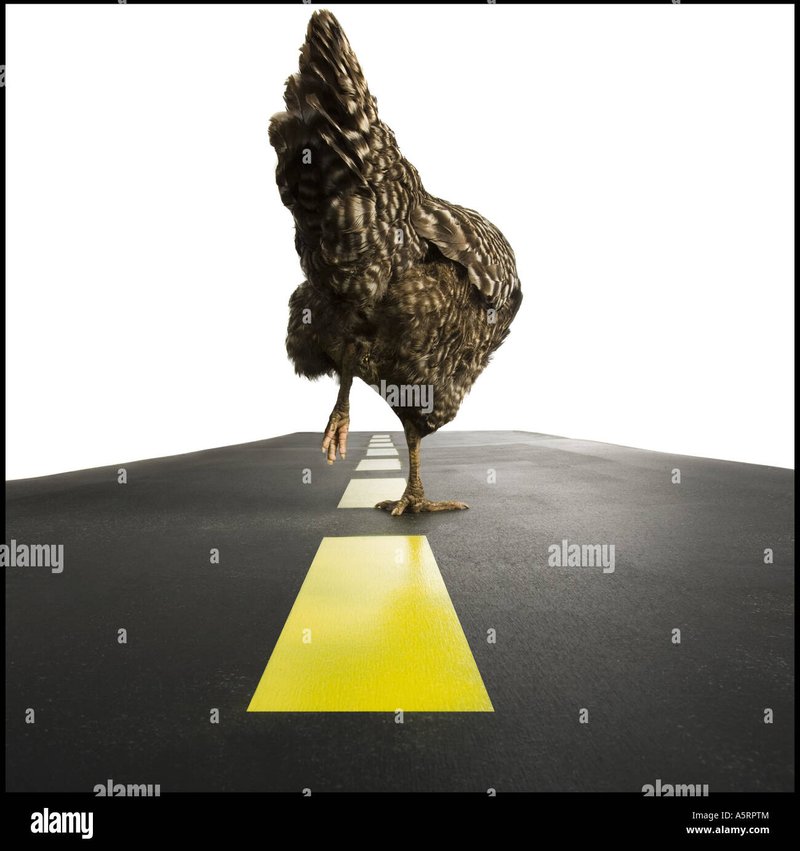 Een Gok op Succes met Chicken Road Online en Gokspellen in Nederland, chicken road spel
